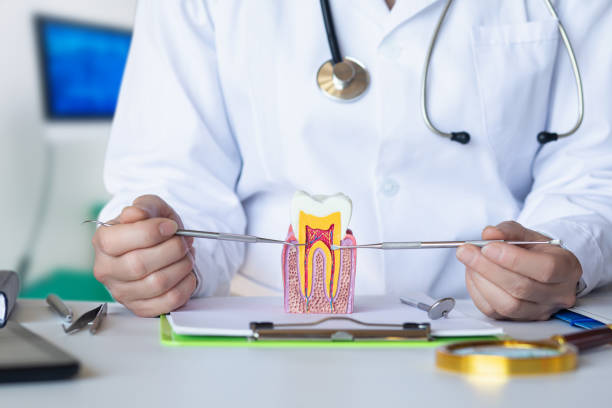Best Emergency Orthodontic Repairs in Marco Island, FL